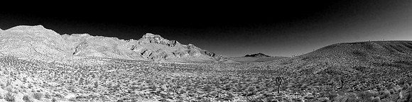 _DSC9733