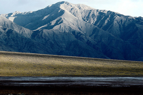 Flowers Over the Alluvial Fan