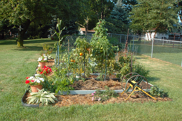 Joanne's Garden