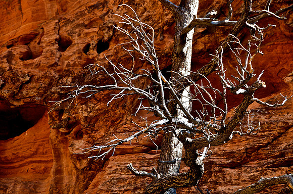 Zion