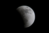 _DSC1835