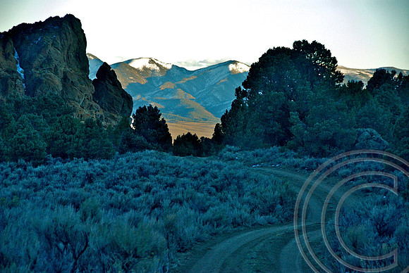Monitor Valley