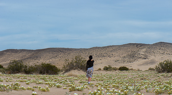 Mojave Road Trip 3.20.16-222