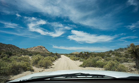 Mojave Road Trip 3.20.16-38