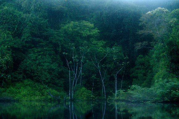 Rio Negro