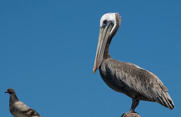 Oceanside, California