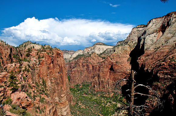 Zion