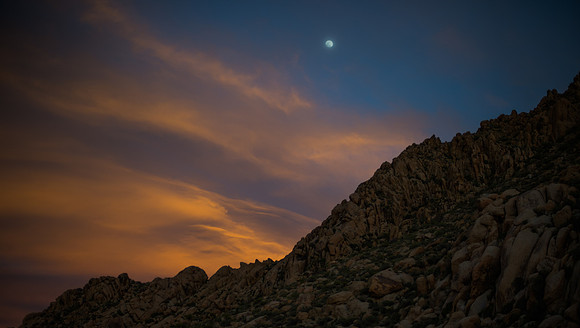 Mojave Road Trip 3.20.16-67