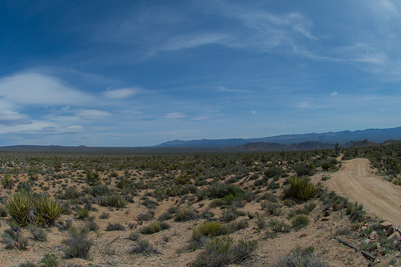 Mojave Road Trip 3.20.16-156