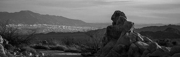 Mojave Road Trip 3.20.16-66