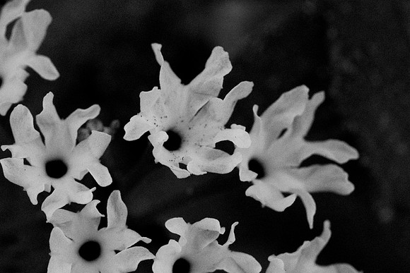 DSC_6891