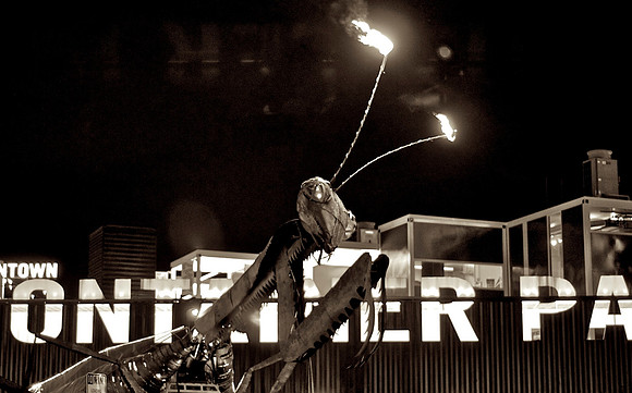 The Beast of The Container Park