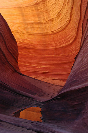 The Wave, Coyote Butte Utah