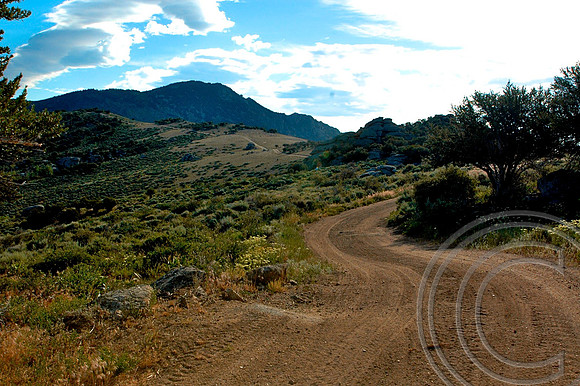 Ruby Crest Trail Head off of Harrison Road, Elko County Nevada