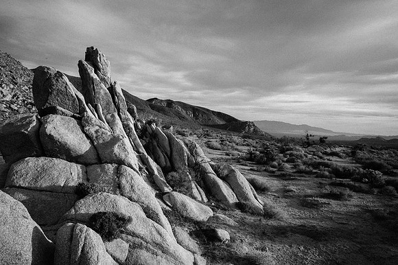 Mojave Road Trip 3.20.16-56