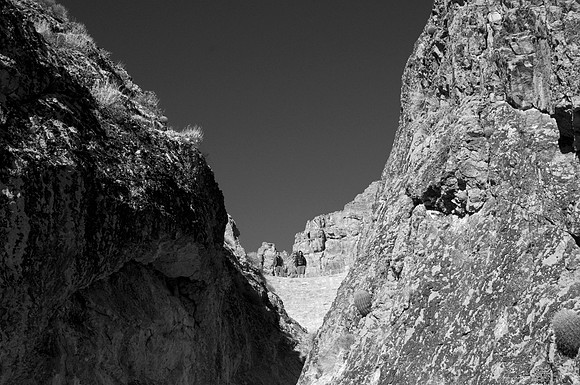_DSC9762