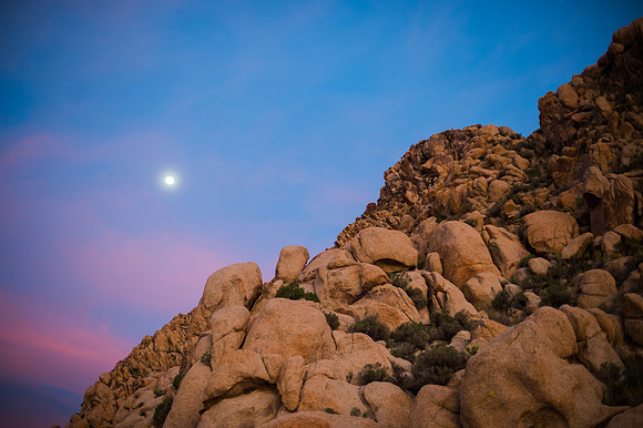 Mojave Road Trip 3.20.16-85