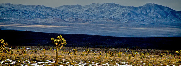 Sheep Range, Nye County Along Hwy 95
