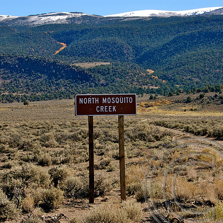 Mosquito Creek, Nye County Nevada