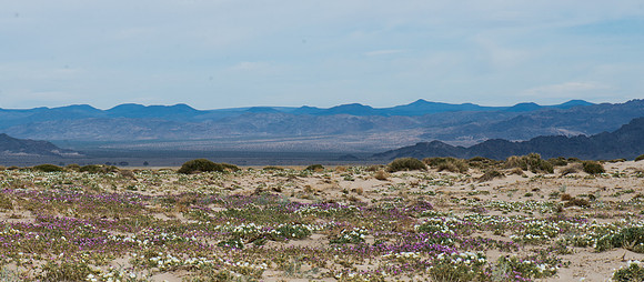 Mojave Road Trip 3.20.16-210