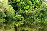 Rio Junipero Brazil