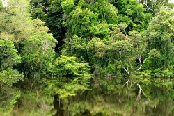 Rio Junipero Brazil