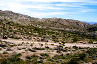Grape Vine Road, Clark County Nevada