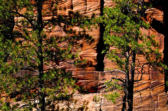 Zion