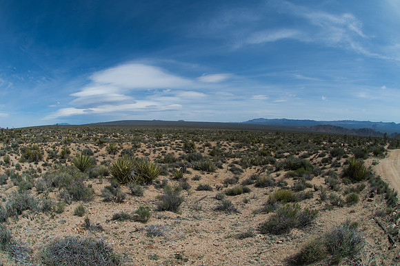Mojave Road Trip 3.20.16-158