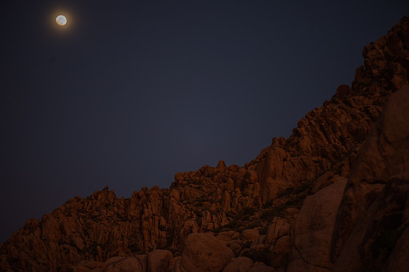 Mojave Road Trip 3.20.16-86