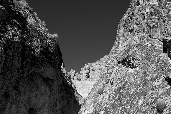 _DSC9755