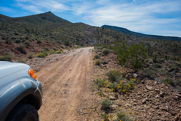 Mojave Road Trip 3.20.16-43
