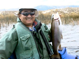 My Big Fish