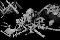 Clay Art Million Bones Project