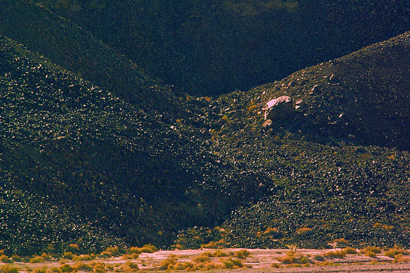 DSC_6950