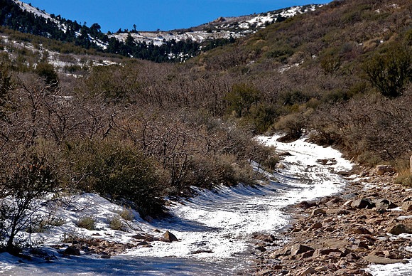 DSC_0124 - 2008-02-17 09-00-40