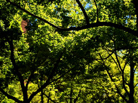 IMG_0572 (3 of 18)