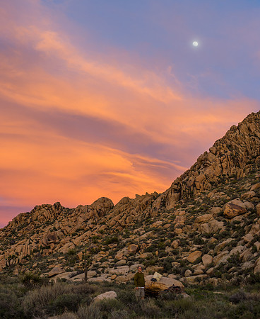 Mojave Road Trip 3.20.16-69