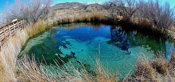 Crystal Spring 1