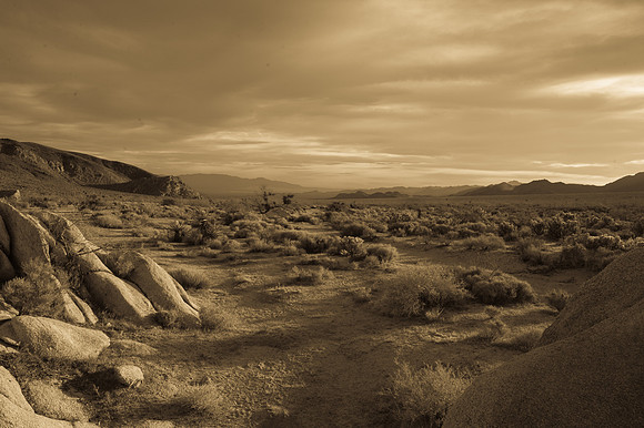 Mojave Road Trip 3.20.16-57
