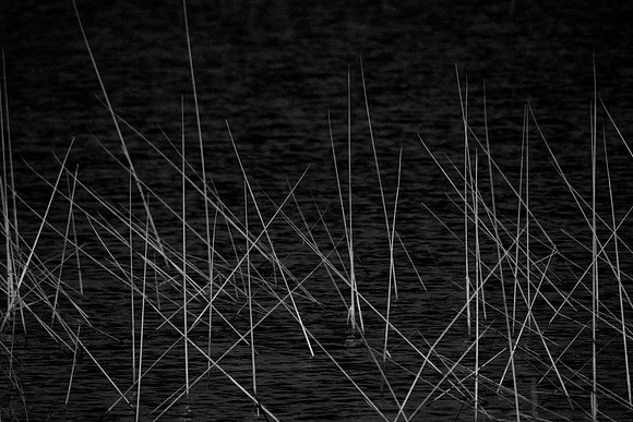 DSC_5124