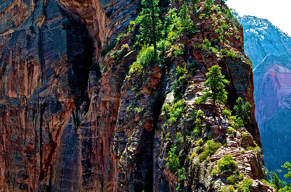 Zion