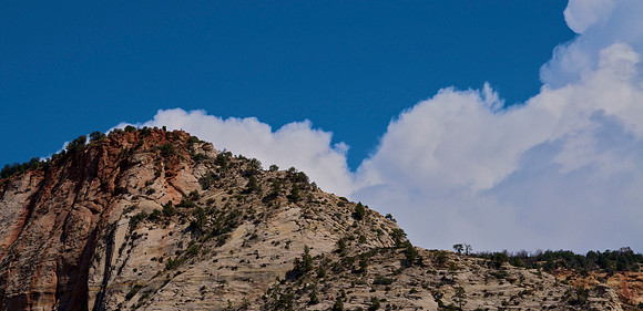 Zion
