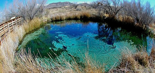 Ash Meadows Nevada