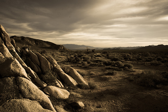 Mojave Road Trip 3.20.16-58