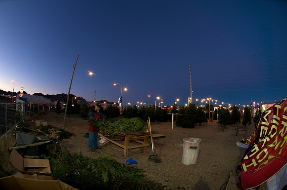 _DSC8648